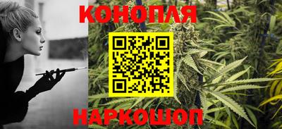 сатива Можга