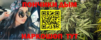сатива Можга