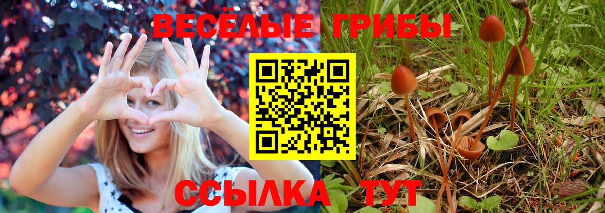 Симферополь  купить наркоту  Вход с VPN  Галлюциногенные грибы ЛСД  Галлюциногенные грибы Magic Shrooms 
